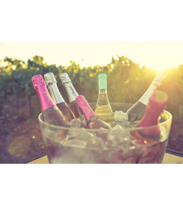 Вино игристое Nadal Brut Nature Reserva Corpinnat белое сухое 0,75л 12% купить