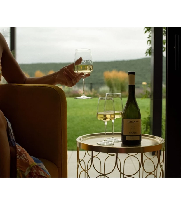 Вино Tbilvino Tsinandali біле сухе 0,75л 12,5% купити