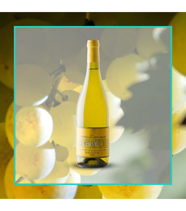 Вино Castellari Bergaglio Gavi Salluvii біле сухе 0,75л 12.5% купити