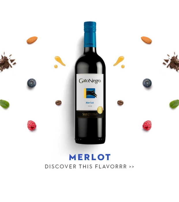 Вино Gato Negro Merlot червоне сухе 0,75л 13% купити