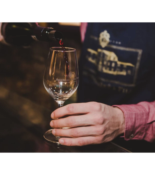 Вино Bouchard Aîné & Fils Bourgogne Pinot Noir красное сухое 0,75л 13% купить