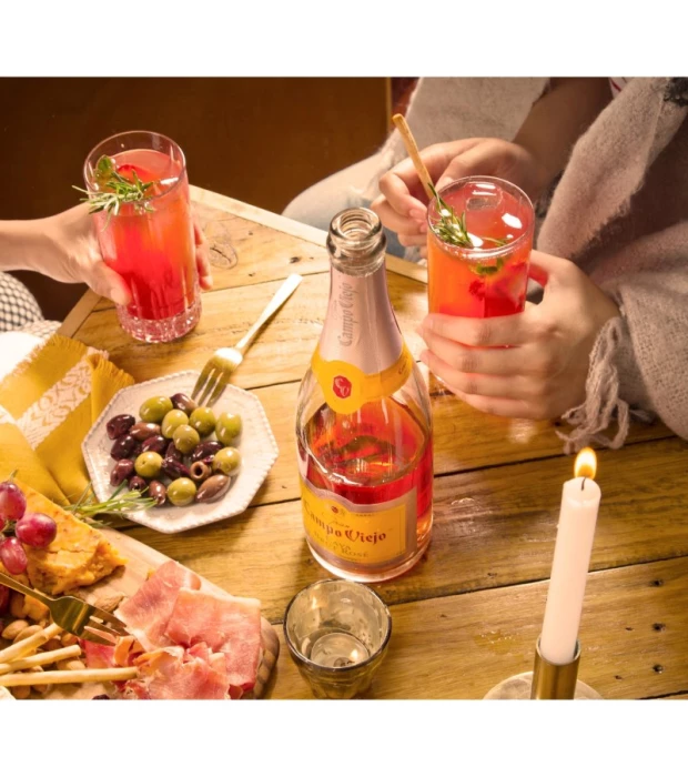 Вино игристое Campo Viejo Cava Brut Rose розовое 0,75л 12% в Украине