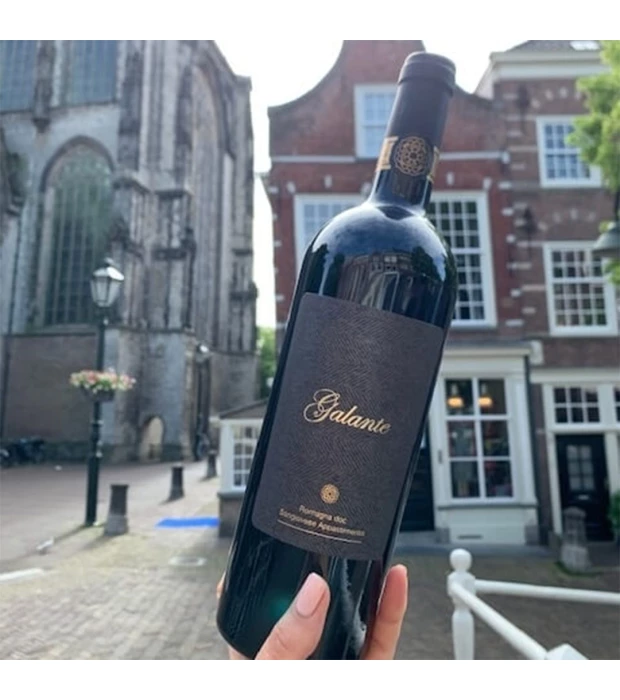 Вино Medici Galante Sangiovese Appasimento красное сухое 0,75л 14,5% купить