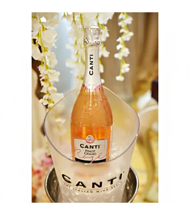 Вино Canti Pinot Grigio Veneto Rose розовое полусухое 0,75л 12% купить