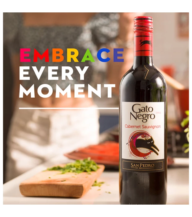 Вино Gato Negro Cabernet Sauvignon червоне сухе 0,75л 13% купити