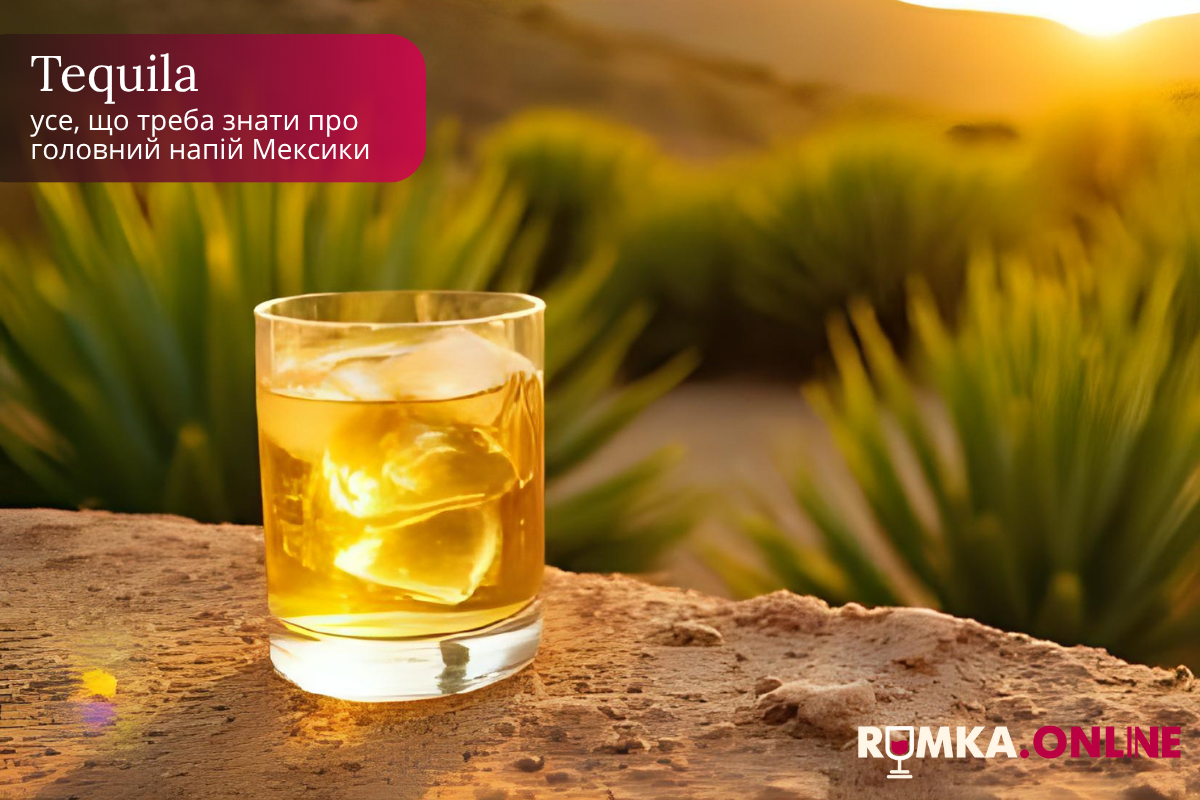 Tequila: все, что нужно знать о главном напитке Мексики